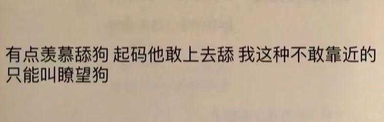 有点羡慕舔狗！！～