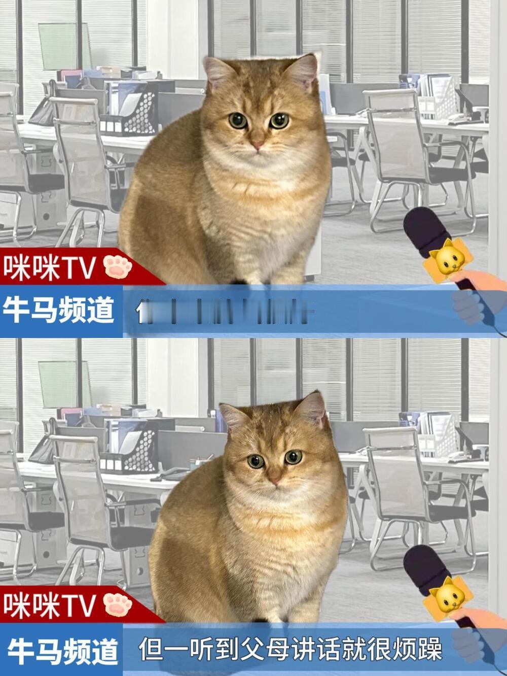 这段话真的好通透|治愈了小时候，那个无助但拼尽全力的自己 