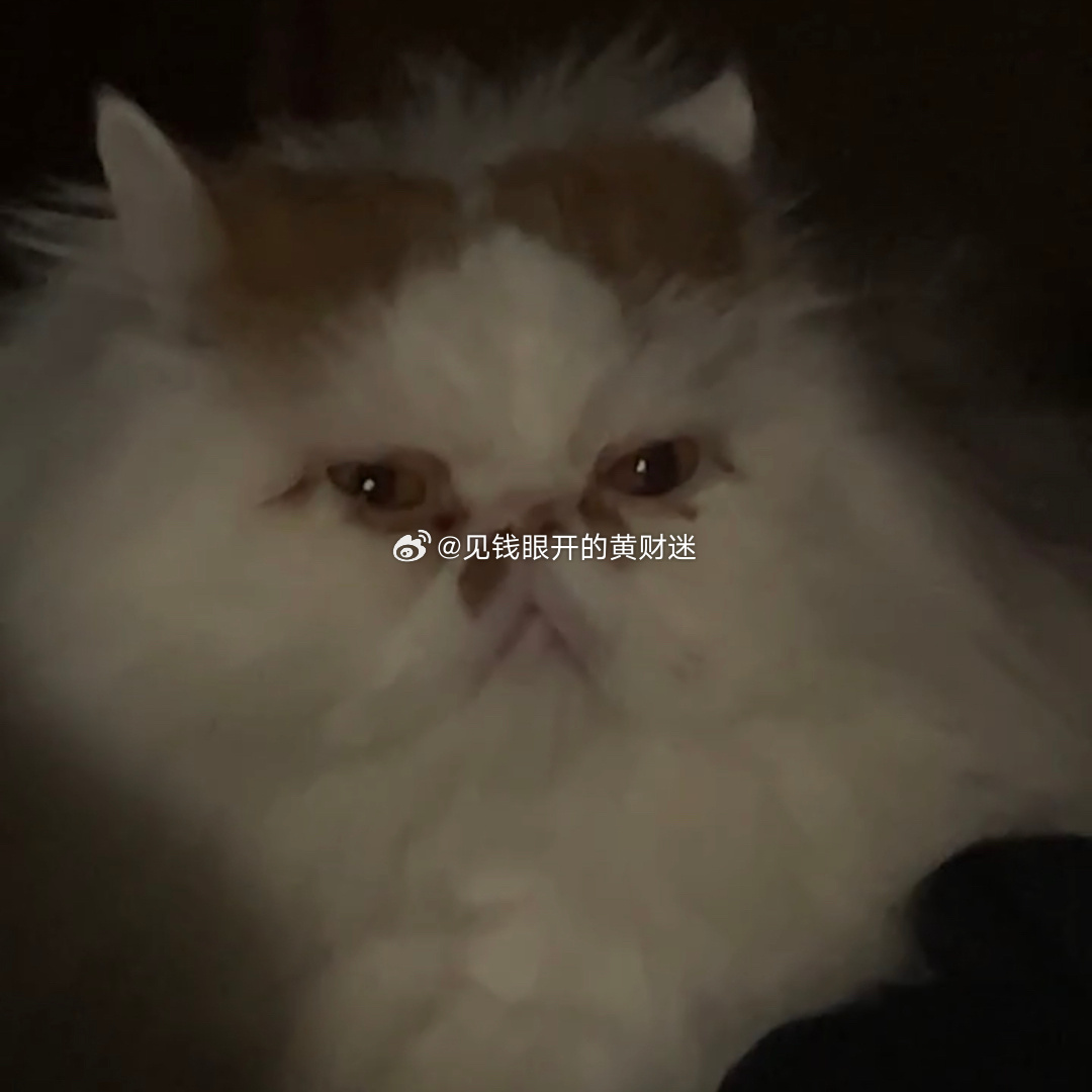 我一醒来就看到它，看着我咖啡：“妈妈，你是怎么做到睡到现在的” ​​​