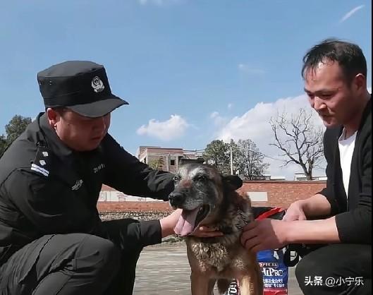 近日，云南昭通，警犬基地为6条退役警犬举行了公开领养交接仪式。警犬“涛涛”服役1