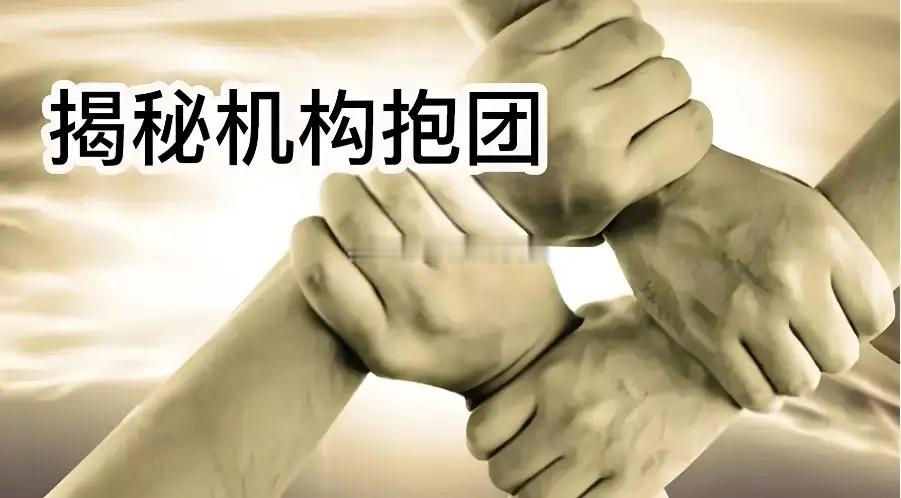 机构抱团的最终结局是一地鸡毛当年，机构抱团白酒股为了蹭白酒概念，有公司特意跨行业