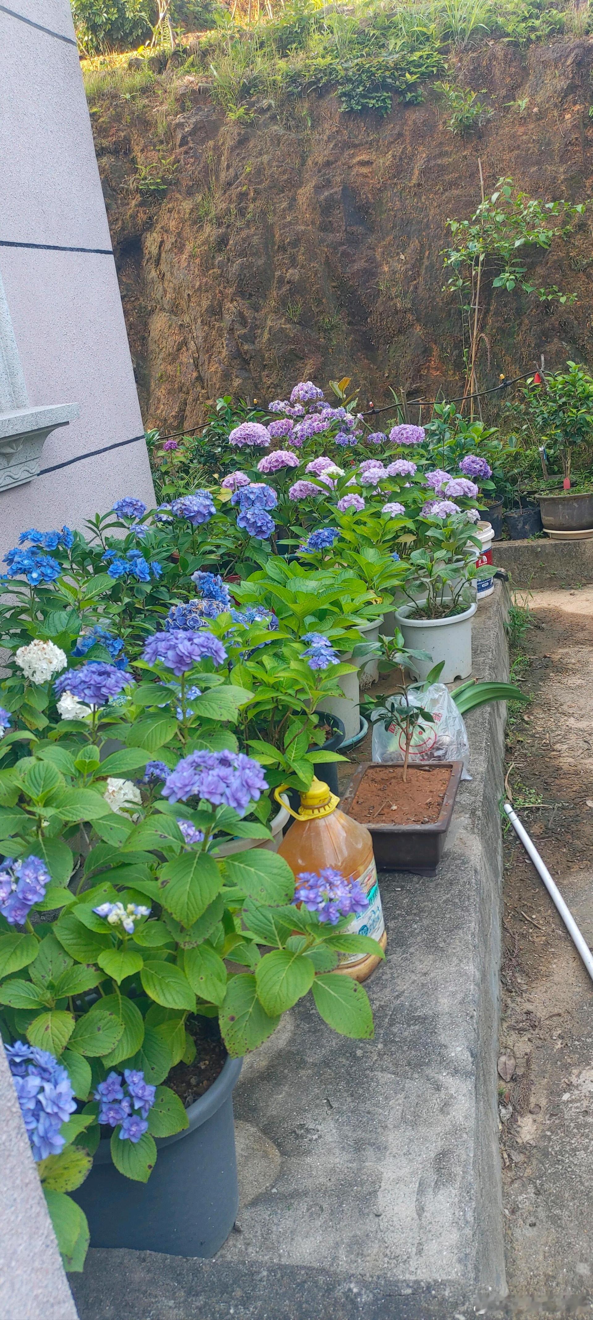 夏风与繁花，撞进了一整个夏天的温柔里～ 