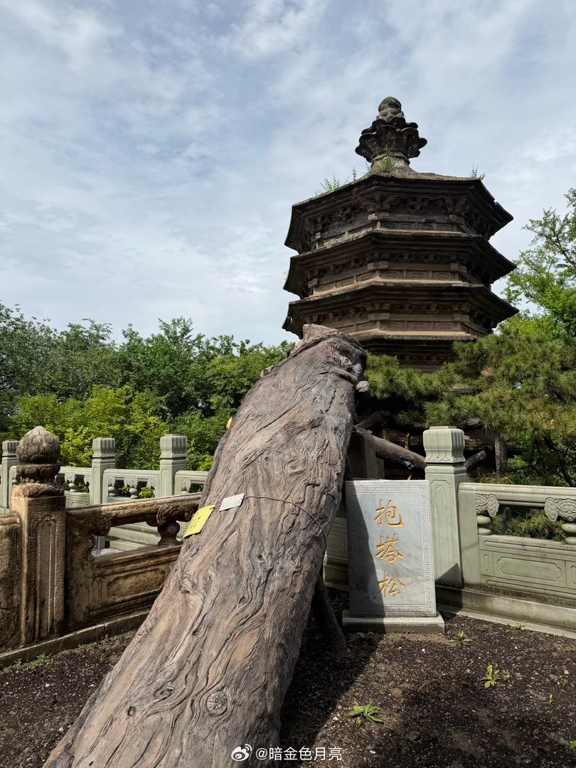 北京碎片 雨后的戒台寺，视线绝佳，开着手机八倍镜可以看到远处的中央电视塔甚至奥森