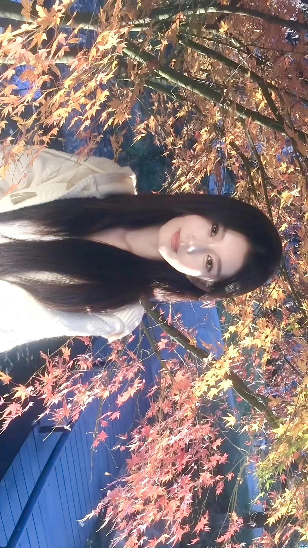 秋日心动💗 |手机live图花絮