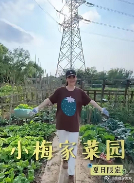 马筱梅又一次说北京的地很贵了。 为了汪小菲，每周去两次菜市场，就差在北京买块地给