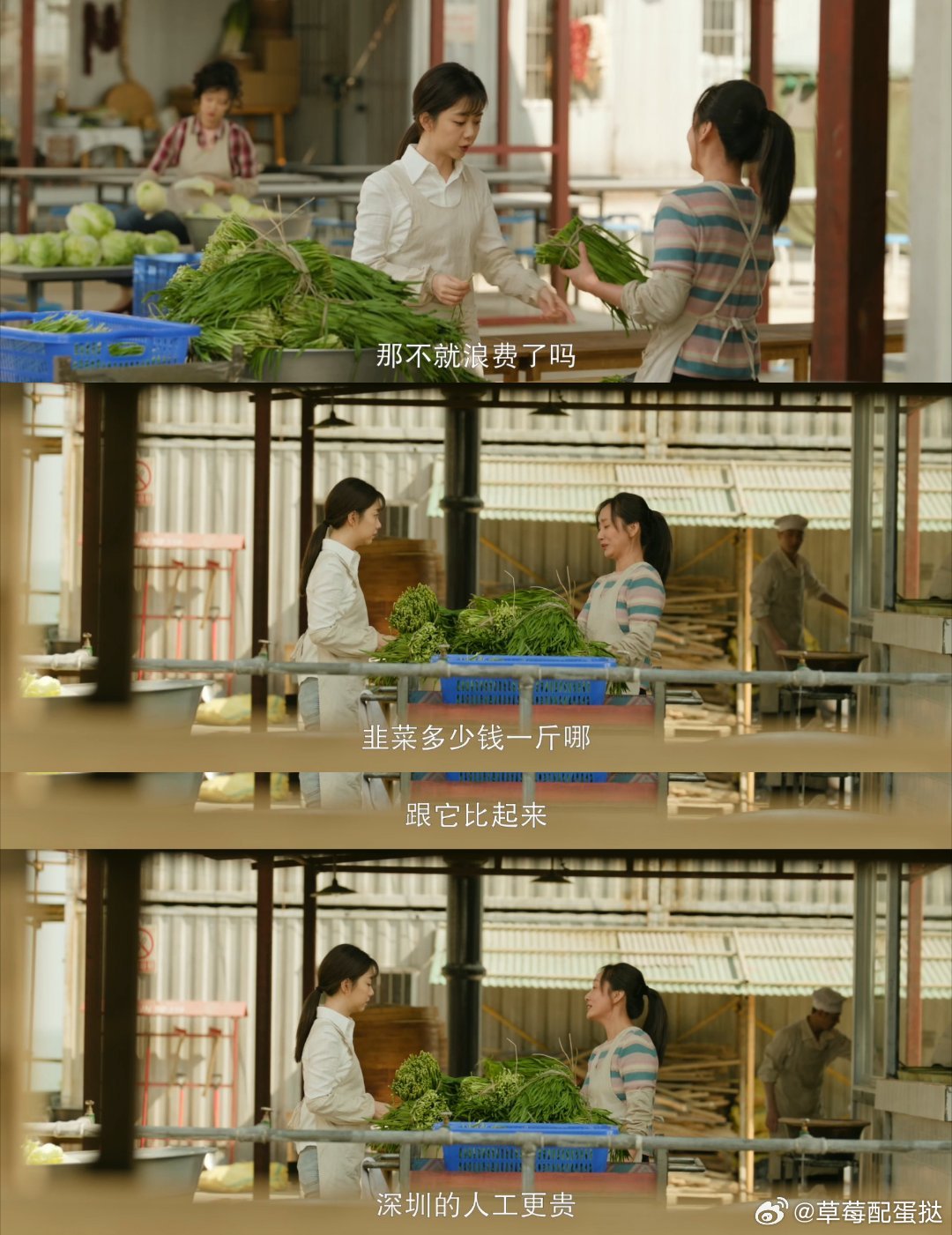 起猛了在国产剧看见真的割韭菜了 方婉之的打工路又燃又好哭！《我的山与海》里她进厂