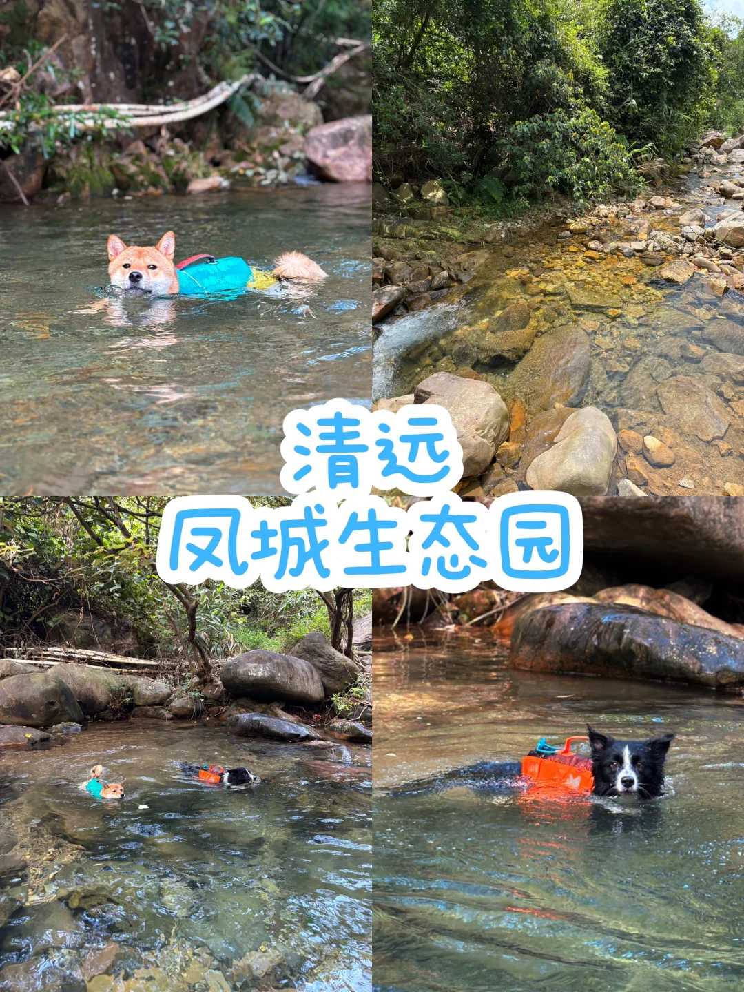 和新朋友的首次约会 玩水玩水还是玩水