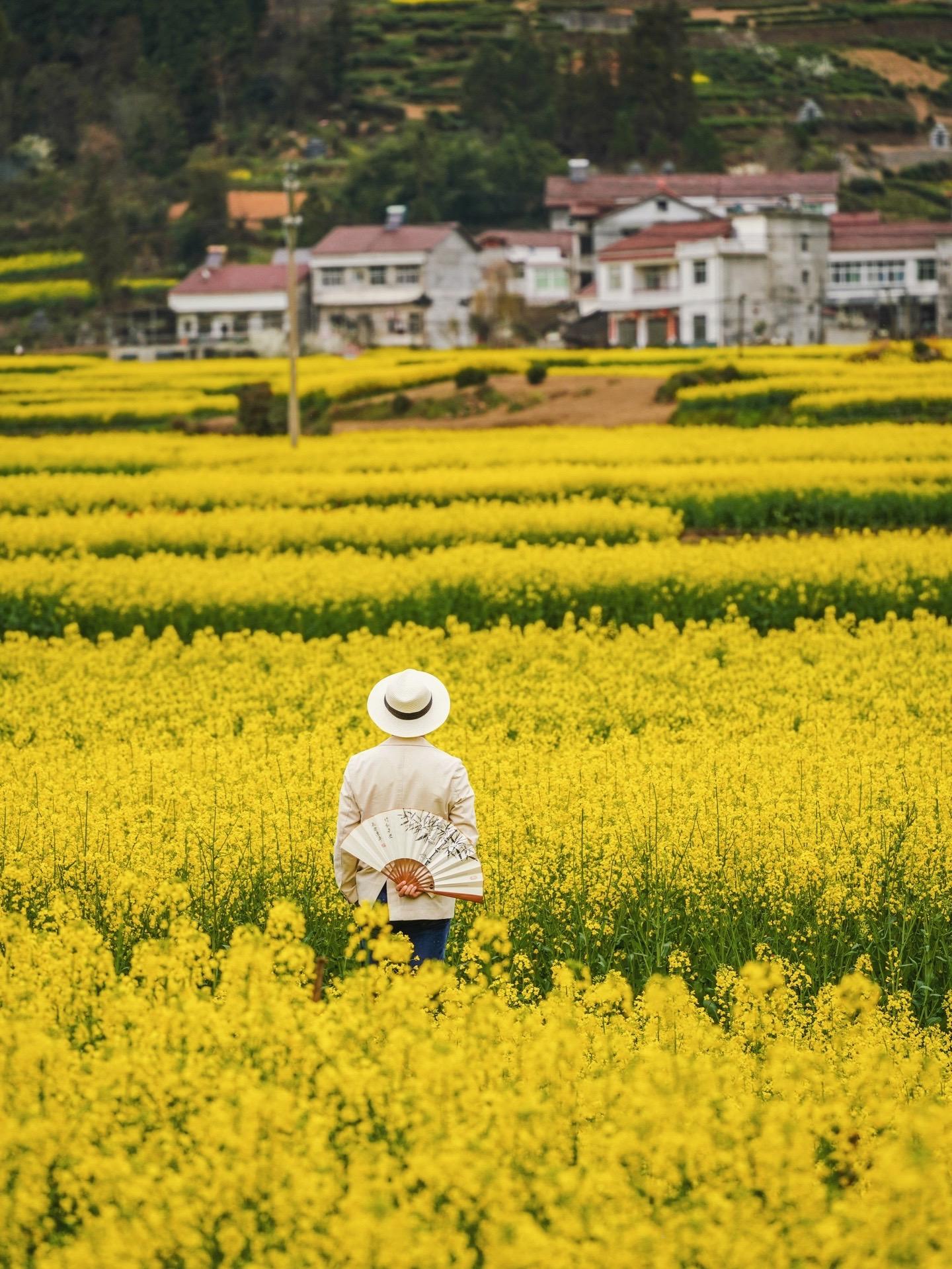 西安周边游🌸汉中镇巴“小江南”追花攻略。这个春天怎么还不来汉中镇巴追花海呢！
终究还是如愿的下了一趟“小江南”
在众多油菜花海的景点中
必有汉中镇巴的一席之地
这里的花海深藏在深山中、梯田上……
在这里追花海的最佳方式就是自驾
一路从西北到东南方向一一解锁🔓 
「🚗自驾路线」 
镇巴黑虎梁国家森林公园观景台→九家榜村眺渔台→～盐场镇响洞村老街→盐场镇千亩油菜花海 
⭕️黑虎梁：可以俯瞰整个镇巴县，夹在山谷间的小城，气候宜人，非常养生的“江南”小城。
⭕️九家榜村眺渔台：一路经过的第一个可在半山腰眺望油菜花海的观景台，脚下就是茶园，远处是视野非常开阔的花海，梯田式的金色地毯，有种满城尽带黄金甲的即视感。
⭕️盐场镇响洞村老街：一个古老的乡村，至今还能看到当时的木式阁楼老建筑，坐落在零散分布有花垛包围的山间。
⭕️盐场镇千亩油菜花海：可以走在花海中央的步道上，身处一望无际的花海中，近距离赏花拍人像大片