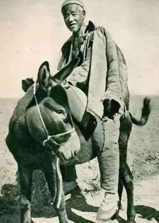 1943年，冀东300名八路军被鬼子包围，一名老者从驴背上跳下来，手拿一把“英七