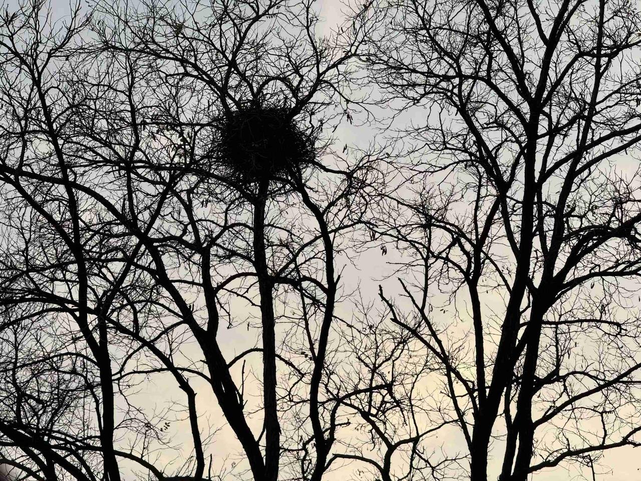 我的今日状态：😁轻松愉快
我这里的天气：🌤️多云