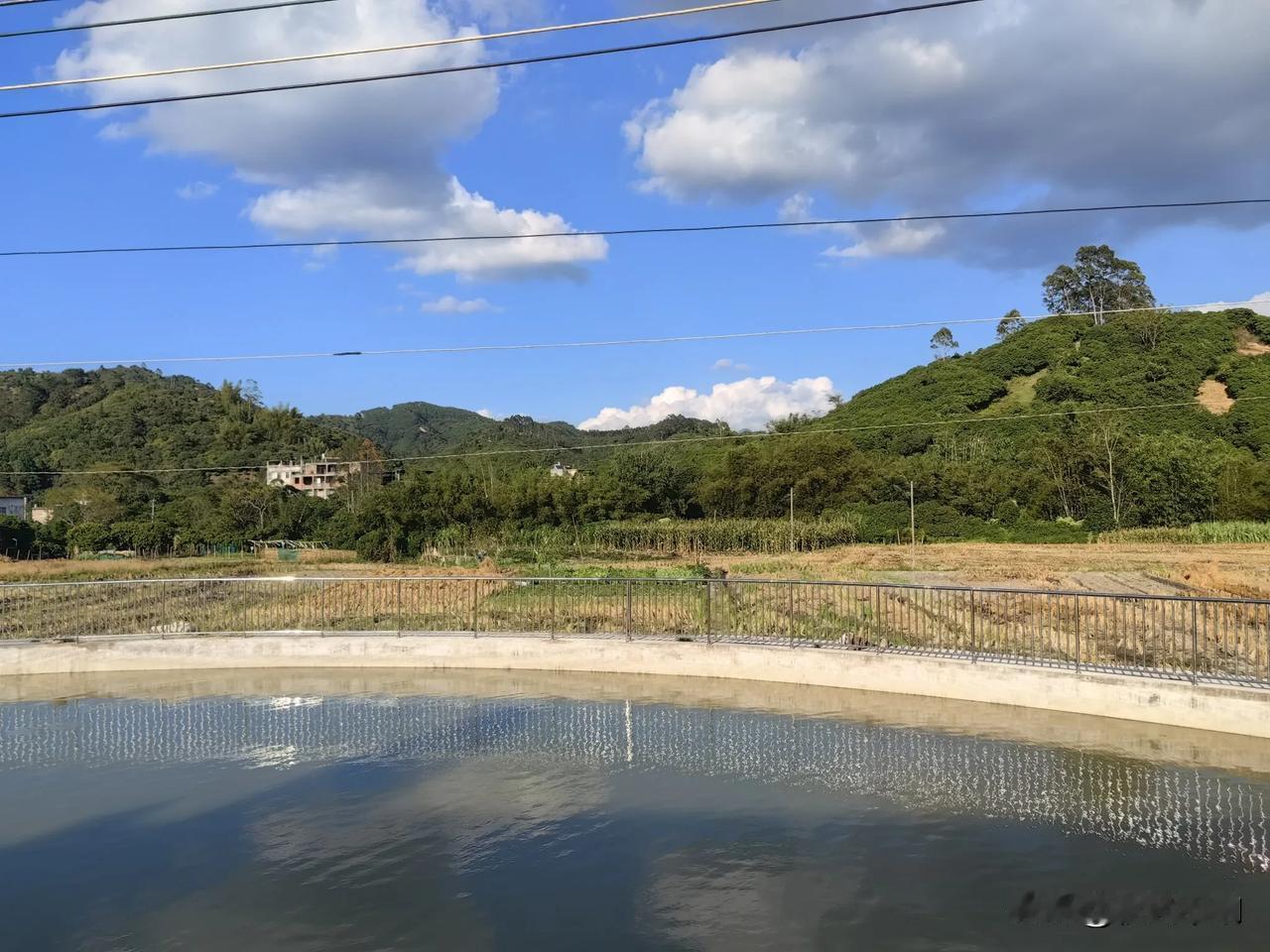 农村随拍，蓝天白云，绿树成荫，还有房前屋后，玉米晒干随拍乡间 乡村美景的随拍 乡