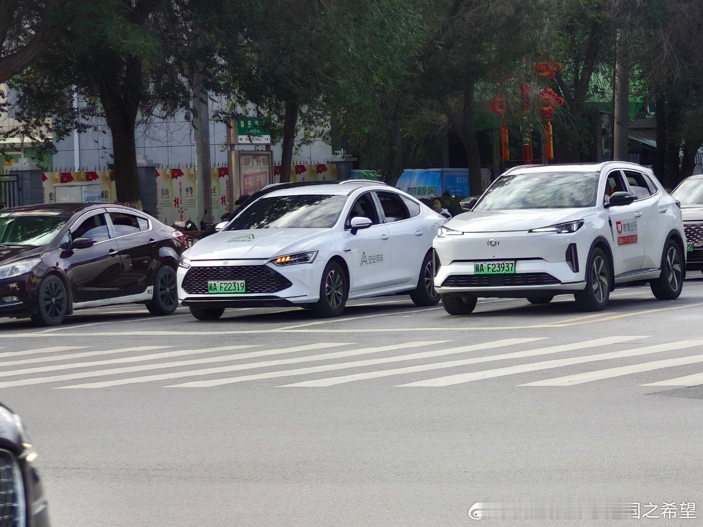 #新能源汽车[超话]##布达拉宫# 张捷去年还在扯说拉萨没有新能源。我在布达拉宫