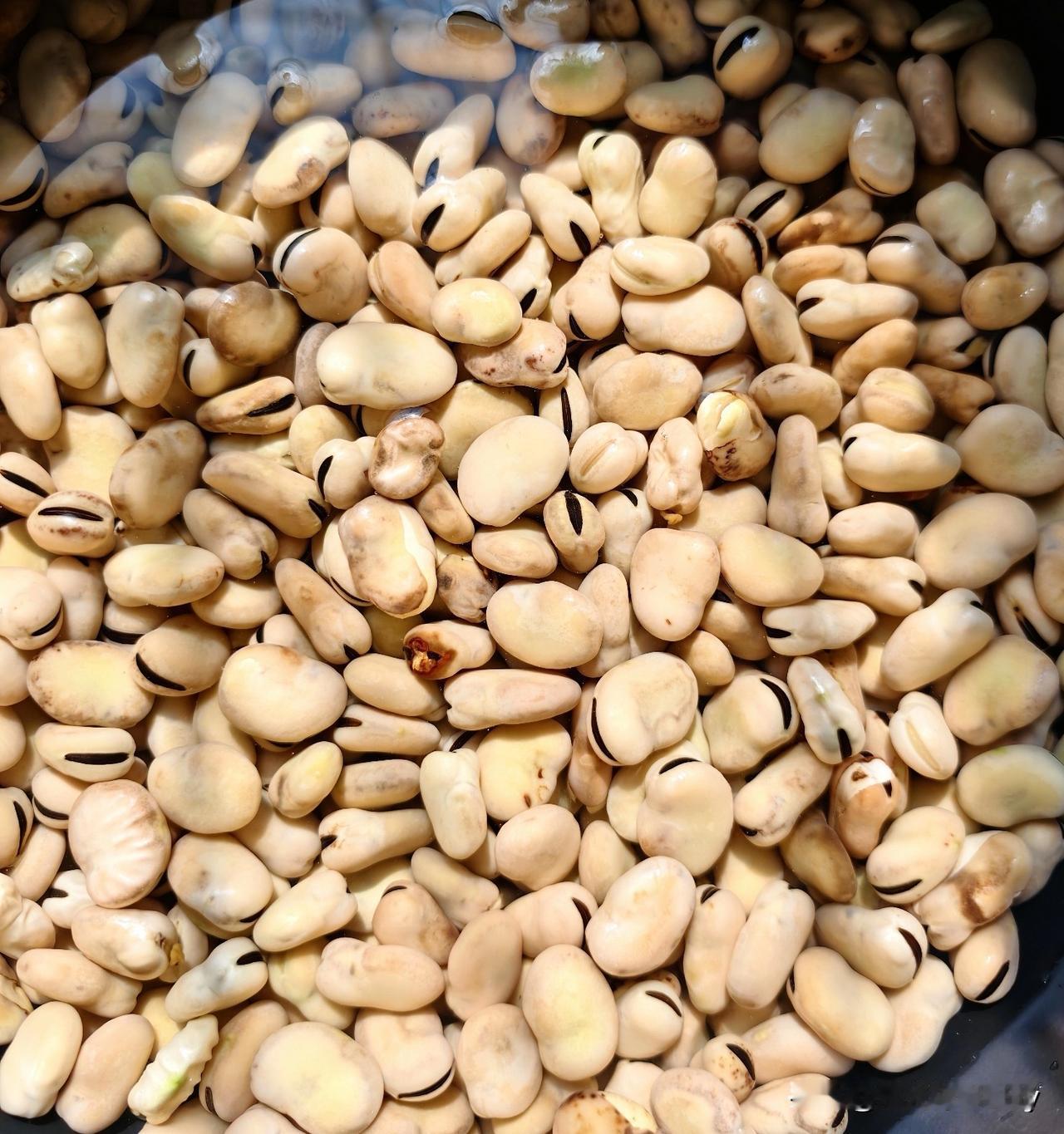 煮孔乙己回香豆，满屋肉香。

昨天煮了一锅孔乙己回香豆，第一次煮，朋友品尝，反馈