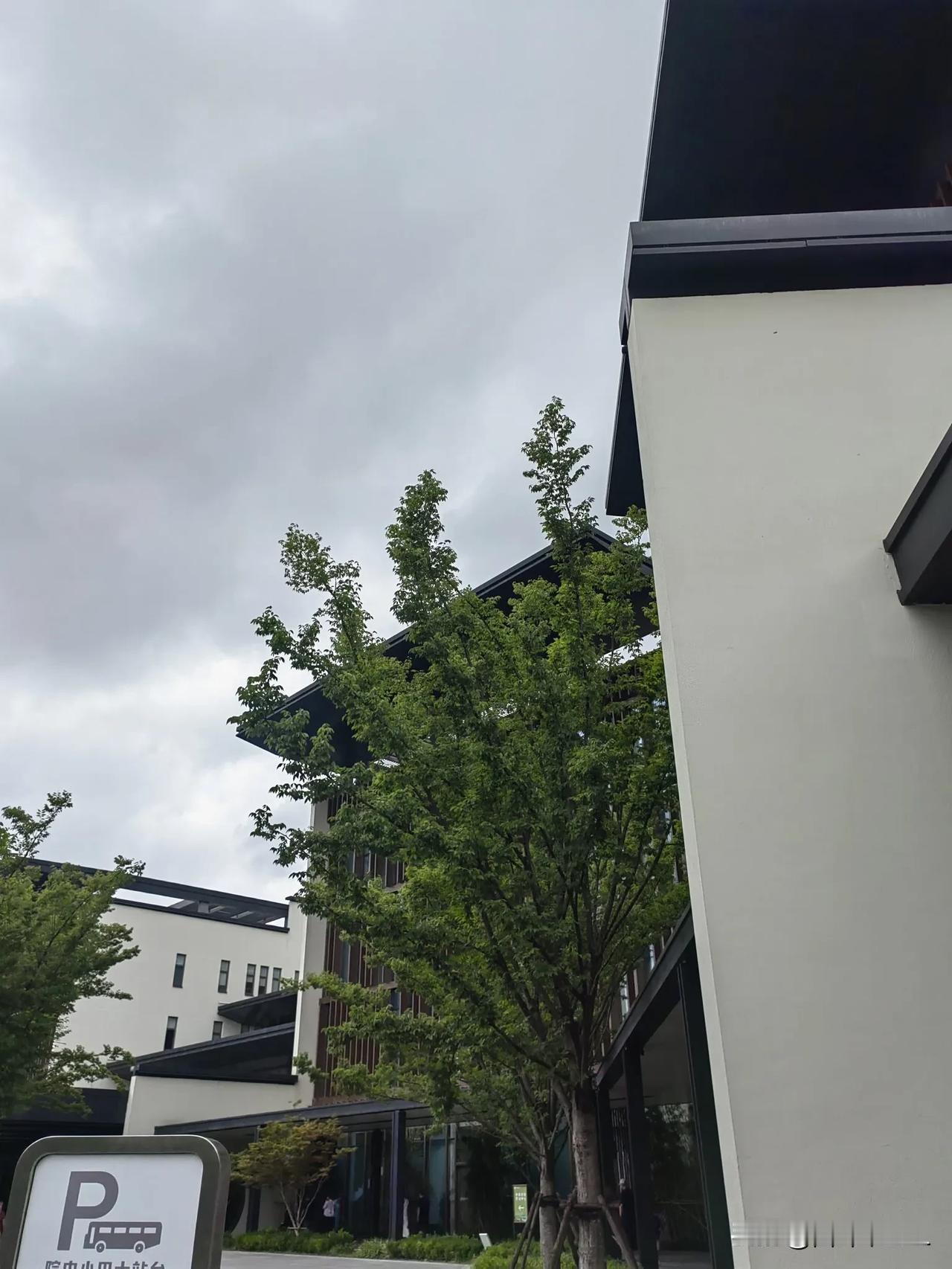 今天，带二宝去中医院复查咳嗽，由于天气不好，我电动车骑的慢了一些，到那里离取号时