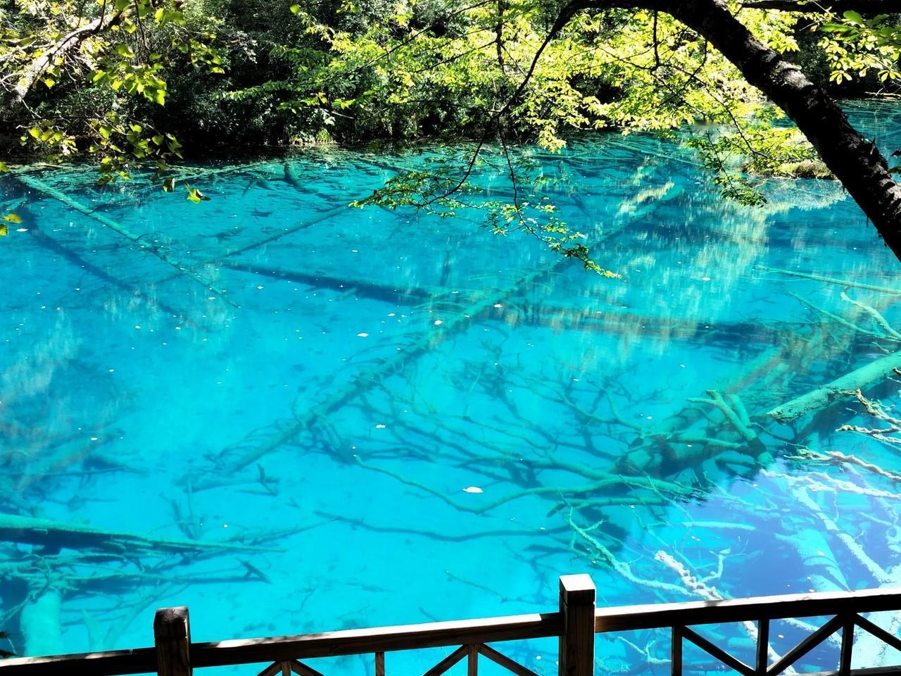 记录我的2026加油