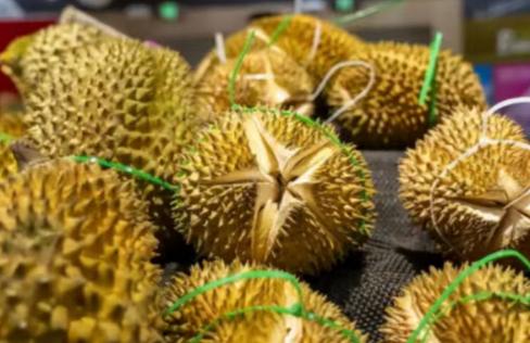 失去中国市场后，大量水果烂在地里卖不掉，现在开始后悔得罪中国。
 
麻烦看官老爷