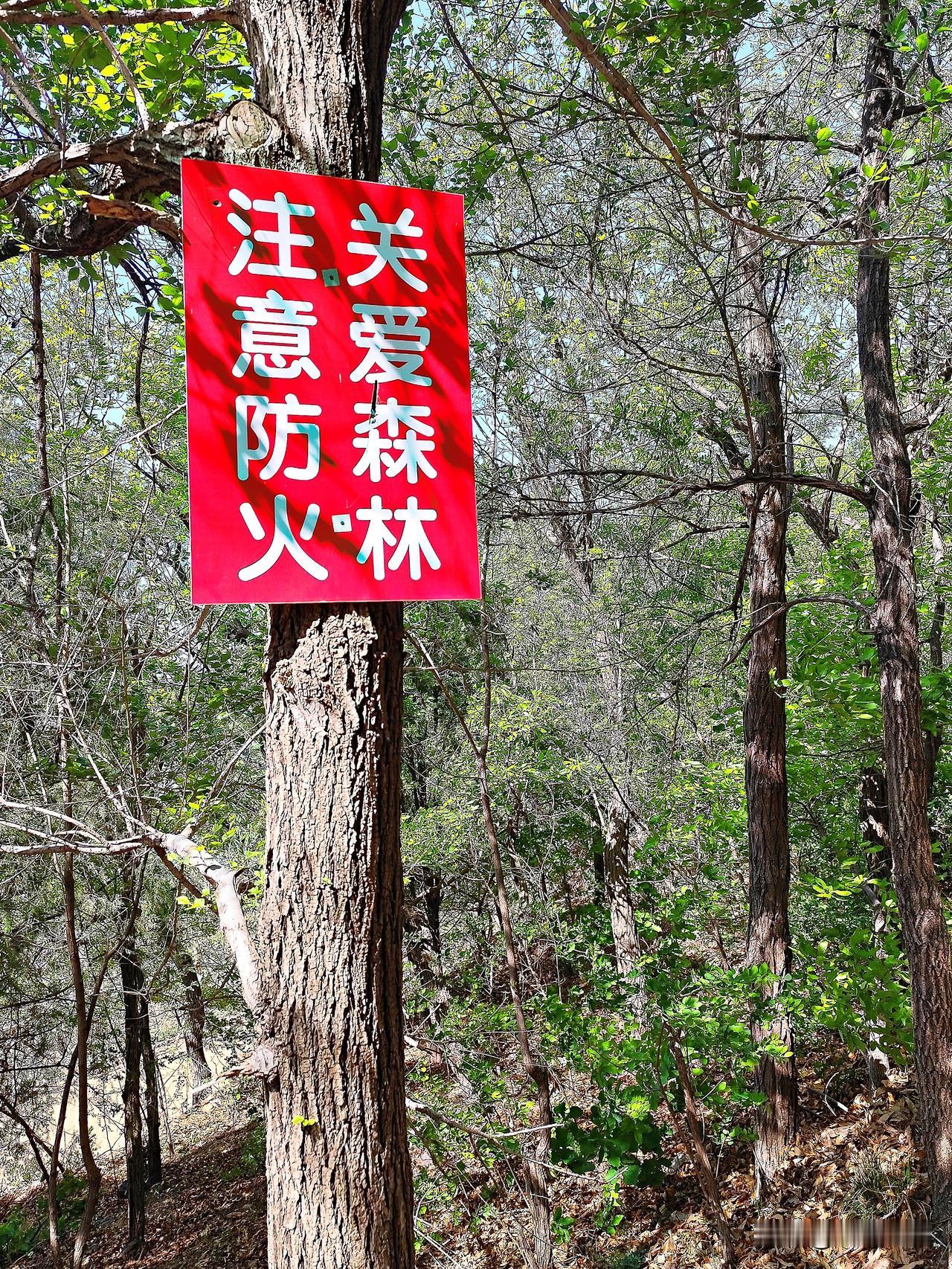 辽南普兰店南山的随拍。
普兰店位于辽东半岛南部，行政区划是大连市的辖区。普兰店城