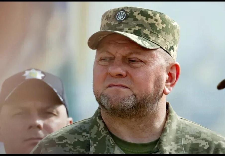 北溪案又有新料，德国调查人员称是扎卢日内指挥乌克兰人员干的。2022年9月“北溪