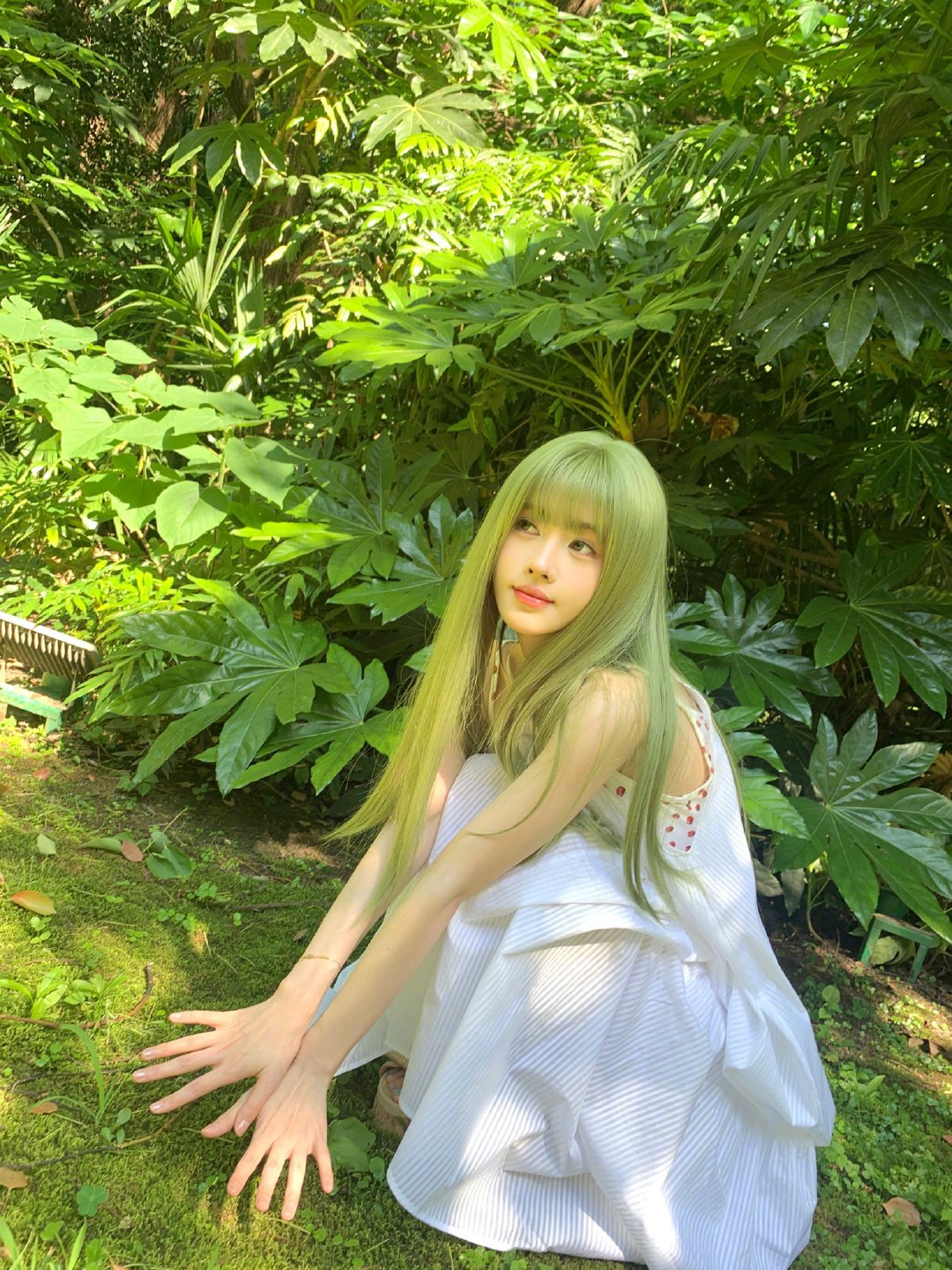 鞠婧祎阿黛 🍊💙鞠婧祎来战 一条路走到底即使天黑也陪你​​​