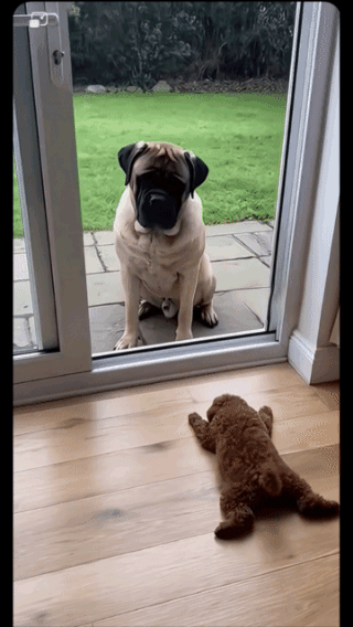 软骨头永远硬不起来！