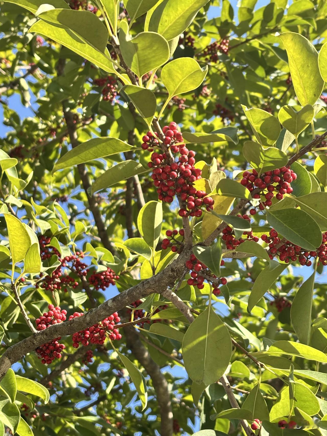 钱的终极功能，从来不是用来买物的，而是用来买清闲、买空间、买不被定义的人生。
