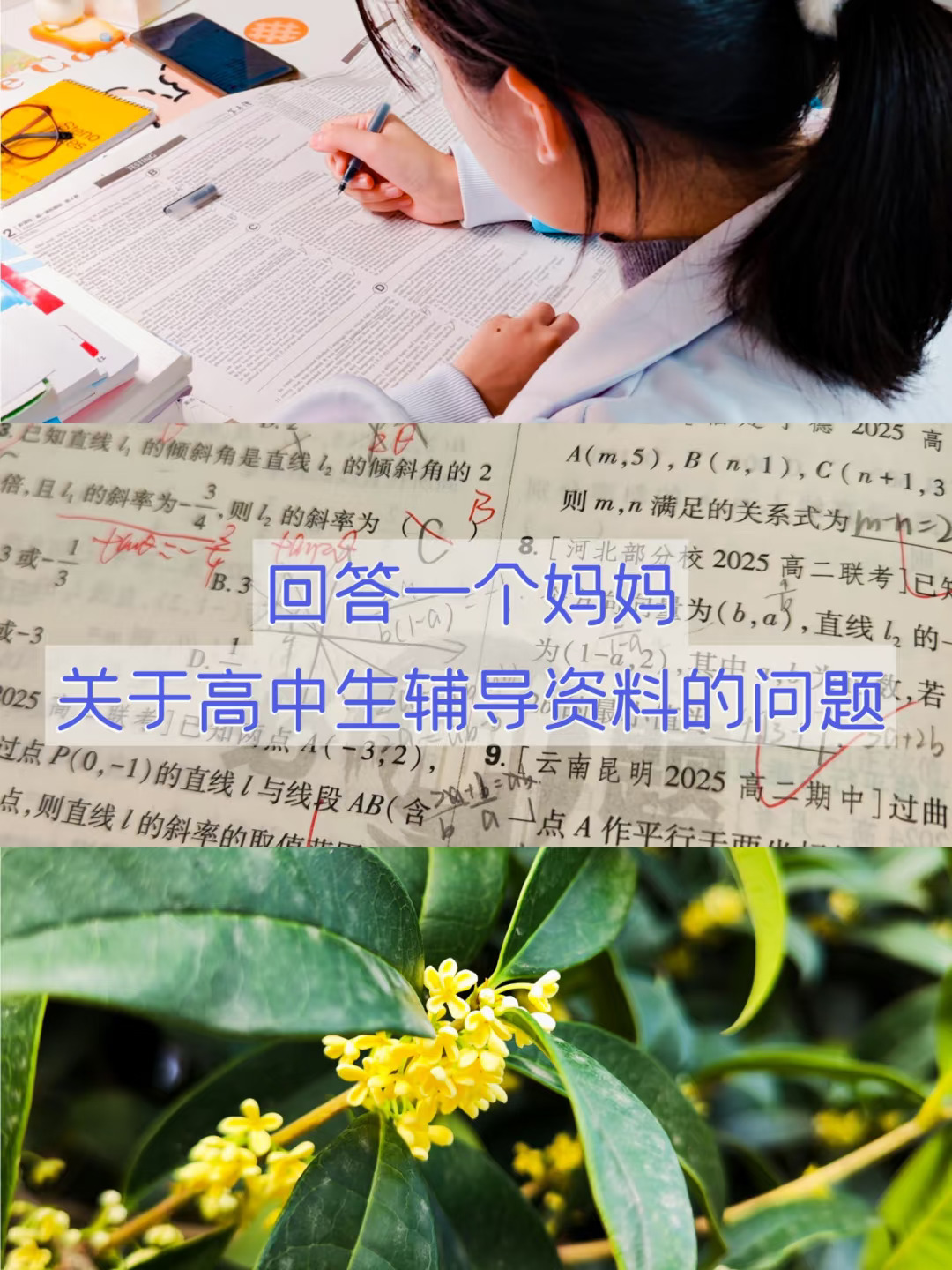 回答一个妈妈关于高中生辅导资料的问题