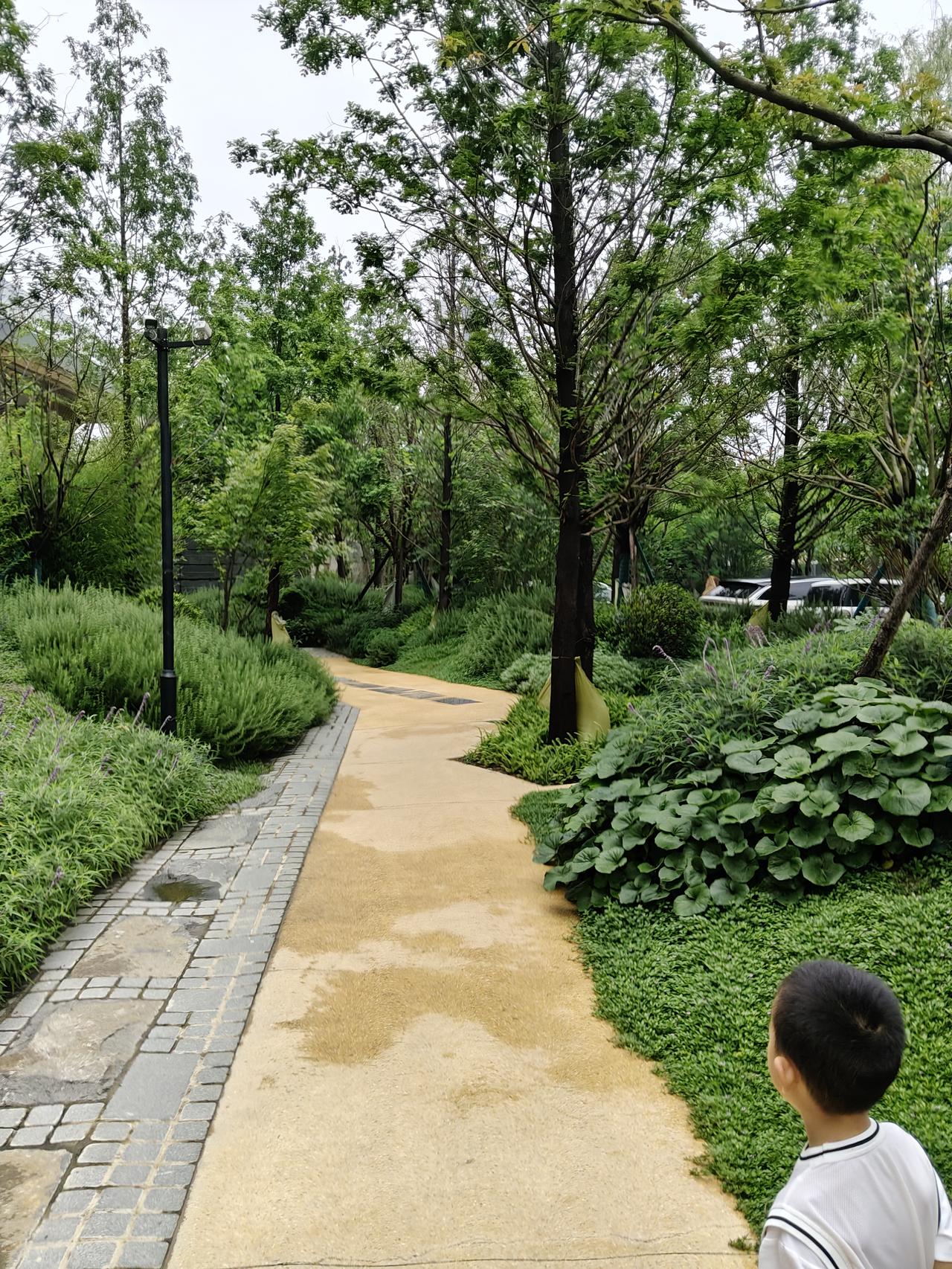 致敬耿同学

中国学术界的丰碑北航耿同学 耿同学退学