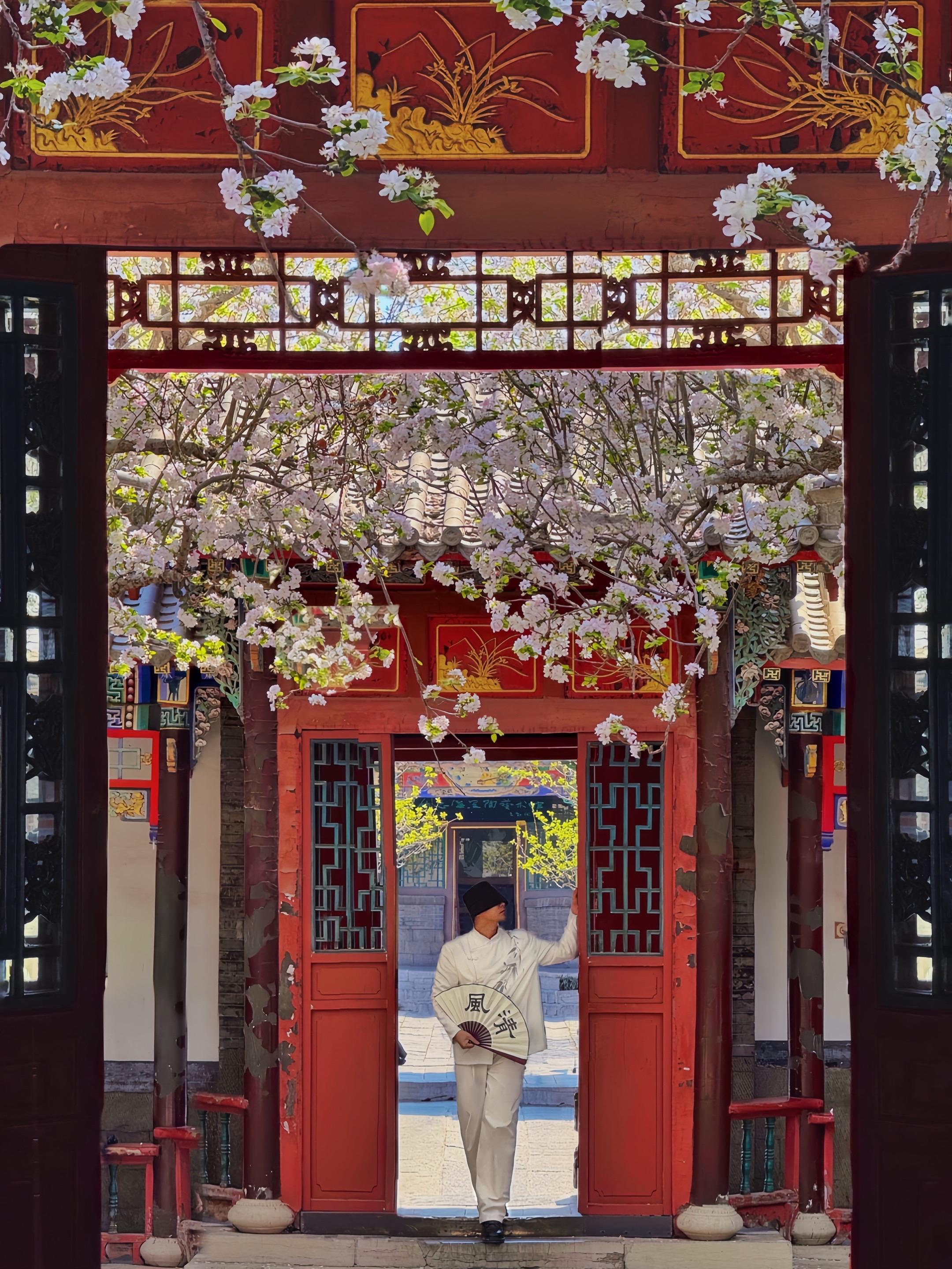 济南趵突泉隐藏机位🌸开在知否里的海棠 原来知否里的海棠花🌸 竟然开...