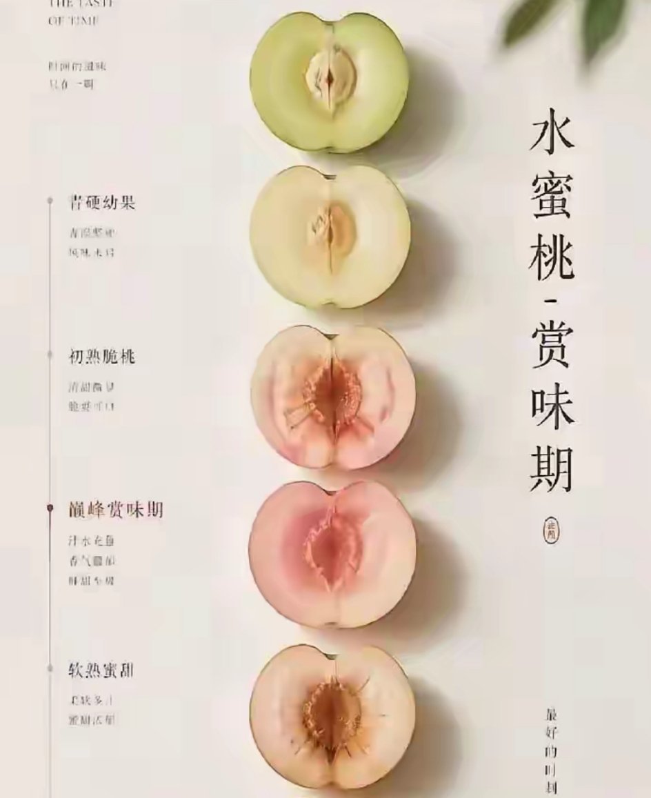 pzy喜欢君姐黑色的还是红色 ​​​