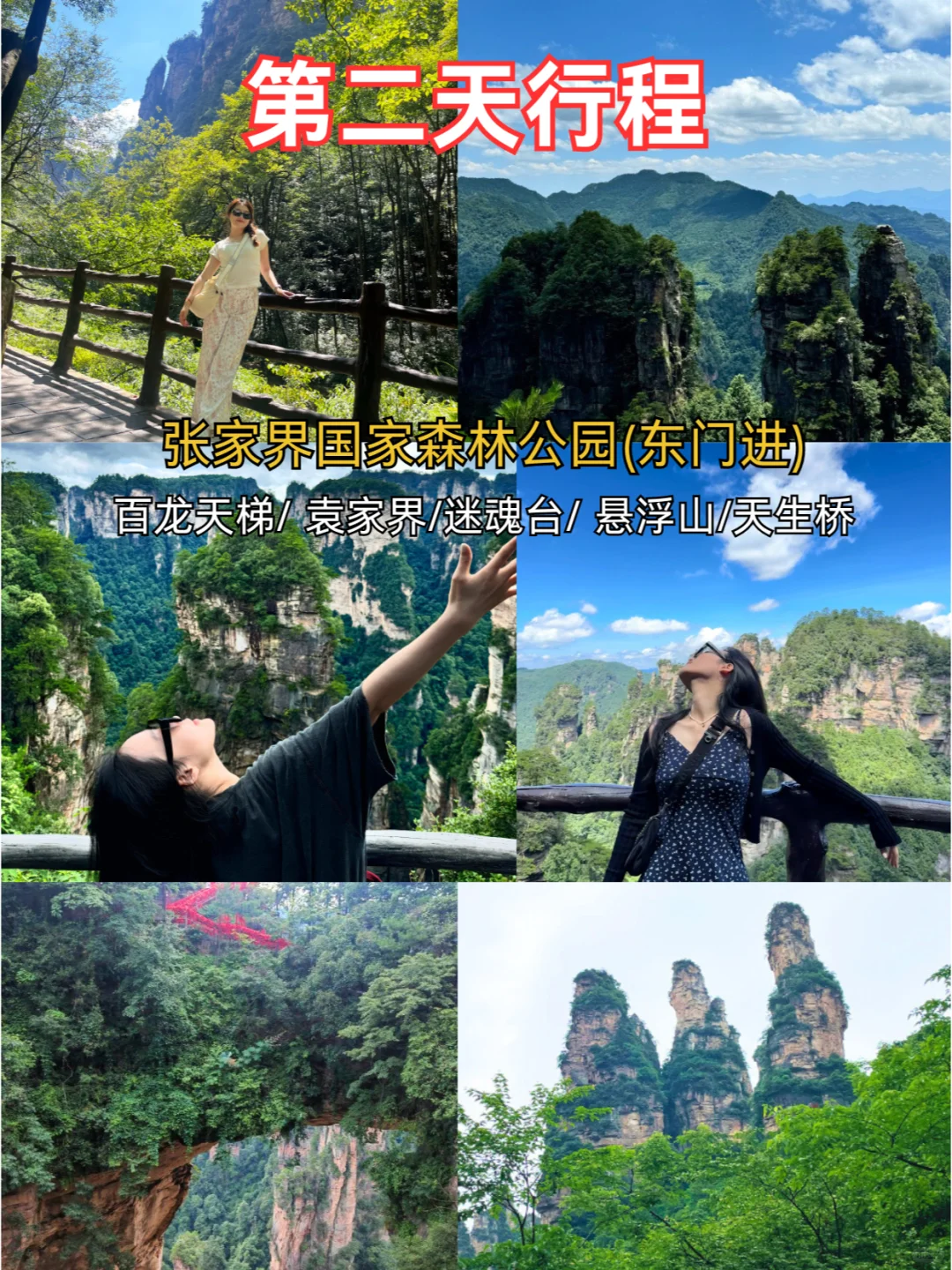 7、8月张家界不用排队，之前都玩错了😭