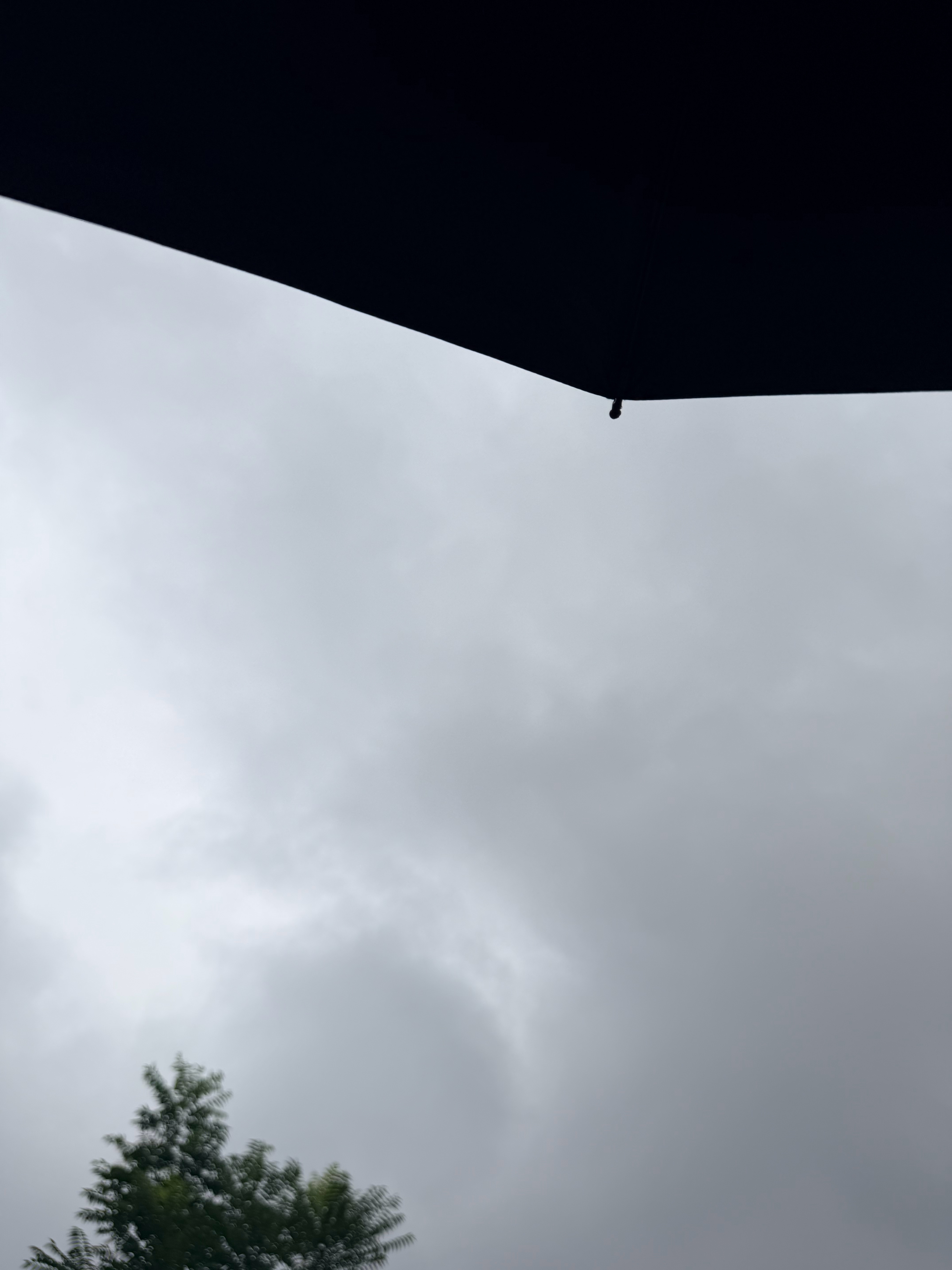 绝对是真爱吧下着大暴雨一个半小时“跨城”去参加REDMI K100 Pro系列发