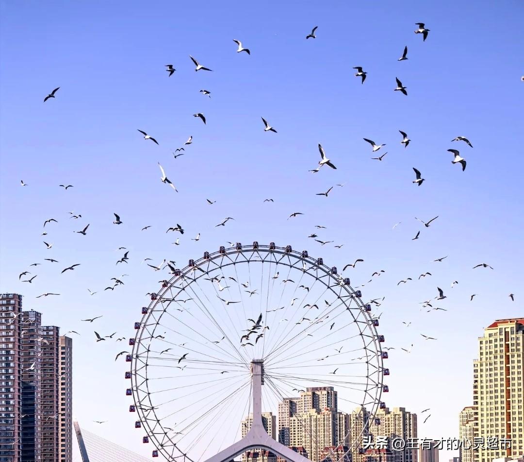 不聊那些没用的，就说我个人认为的，说点实在的。美以现在打伊朗，虽然远在中东，却实