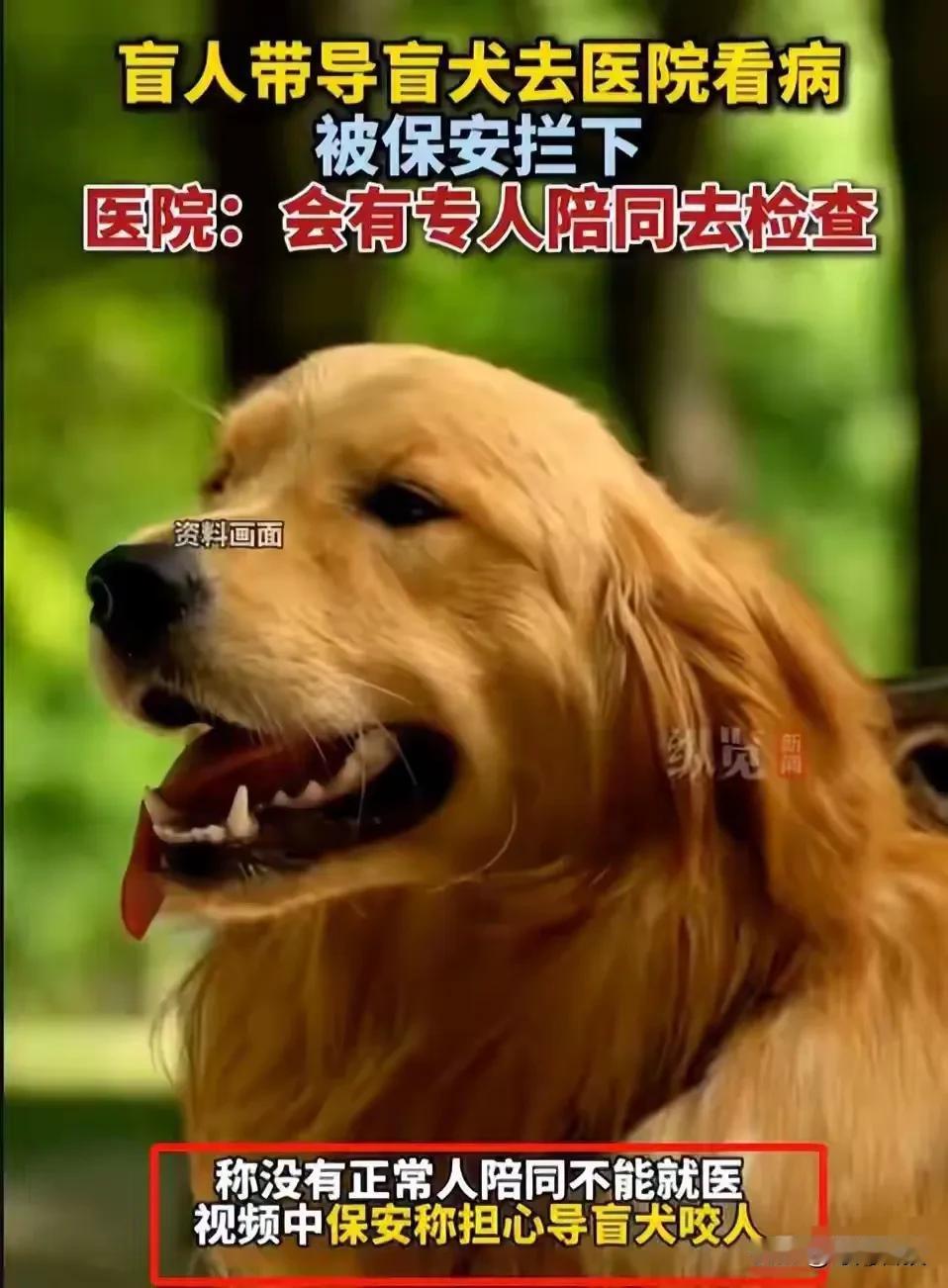 “导盲犬不咬人，为什么不能进去，这是你们领导的意思吗？”

保安：是领导的意思，