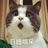 红娃品品汽车