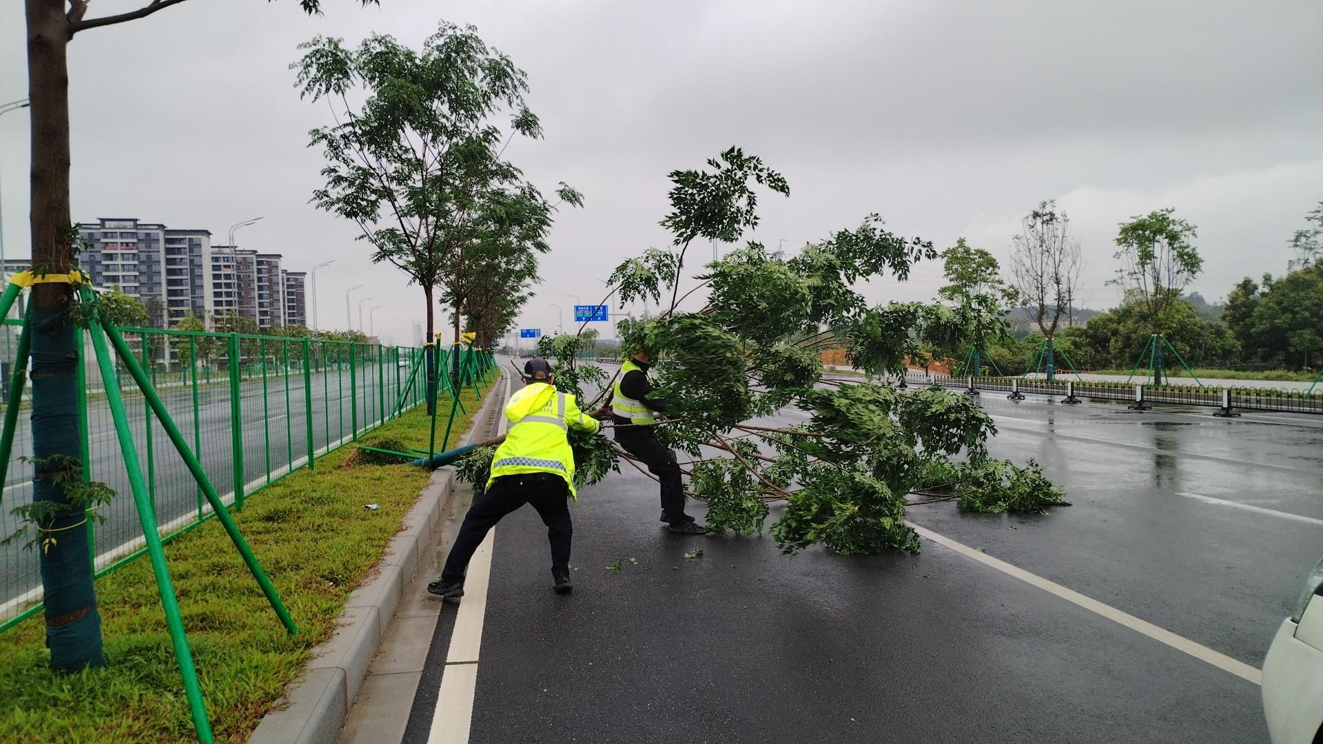 #广州民警清理倒伏树木恢复交通#【广州强雷雨致部分道路受阻，民警及时清理倒伏树木