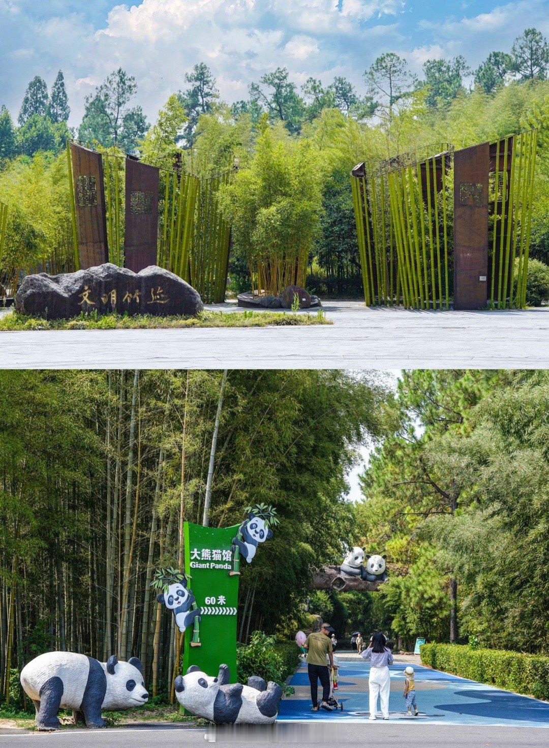 安吉旅行｜不用去成都也能近距离感受国宝啦！ 🎋提到熊猫大家是不是想的都是成都，