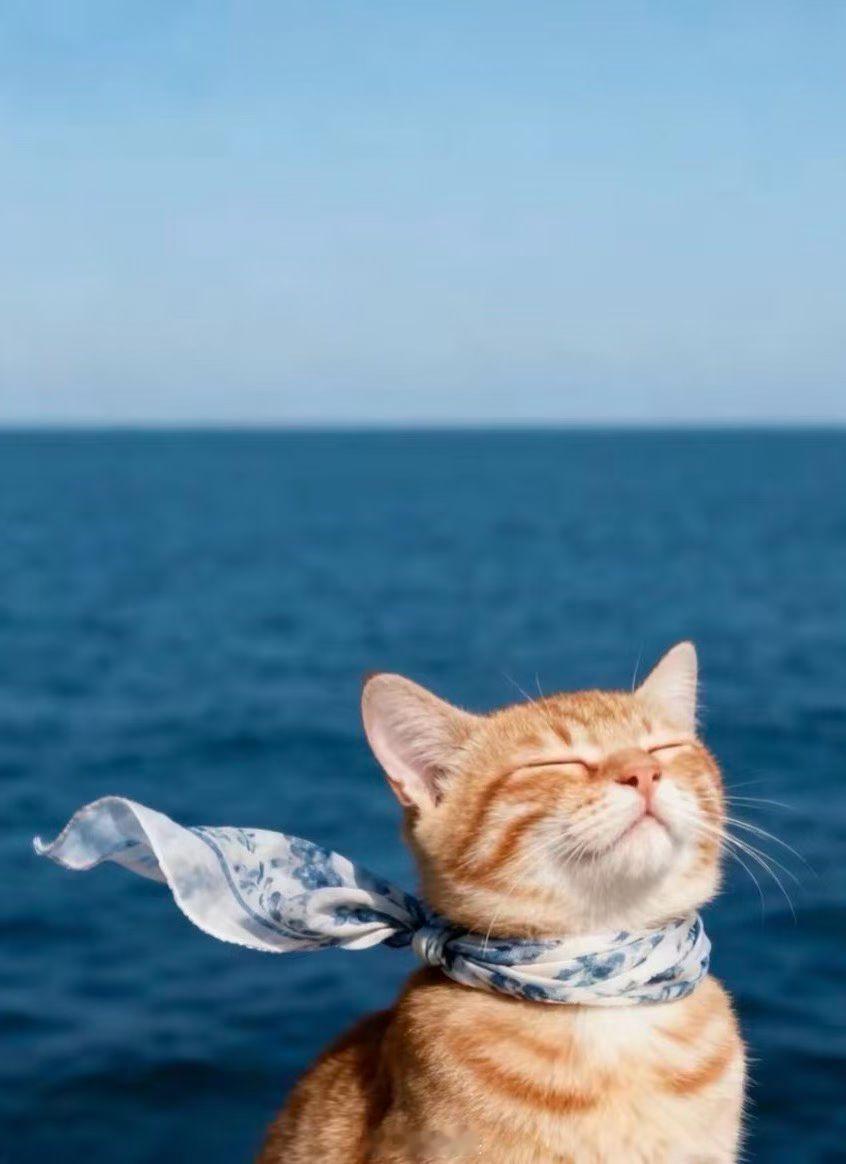 新的一天，请把心情调成阳光模式，迎接每一个值得期待的瞬间。带着勇气出发，开启新一