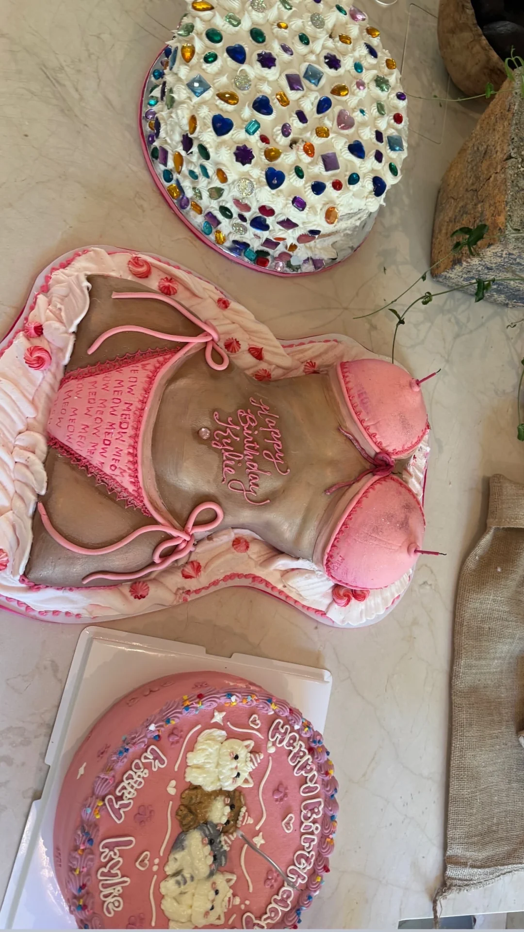 kylie29岁kitty princess生日主题预热派对