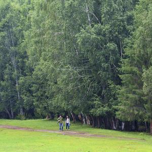 漫步雨林情感观察室