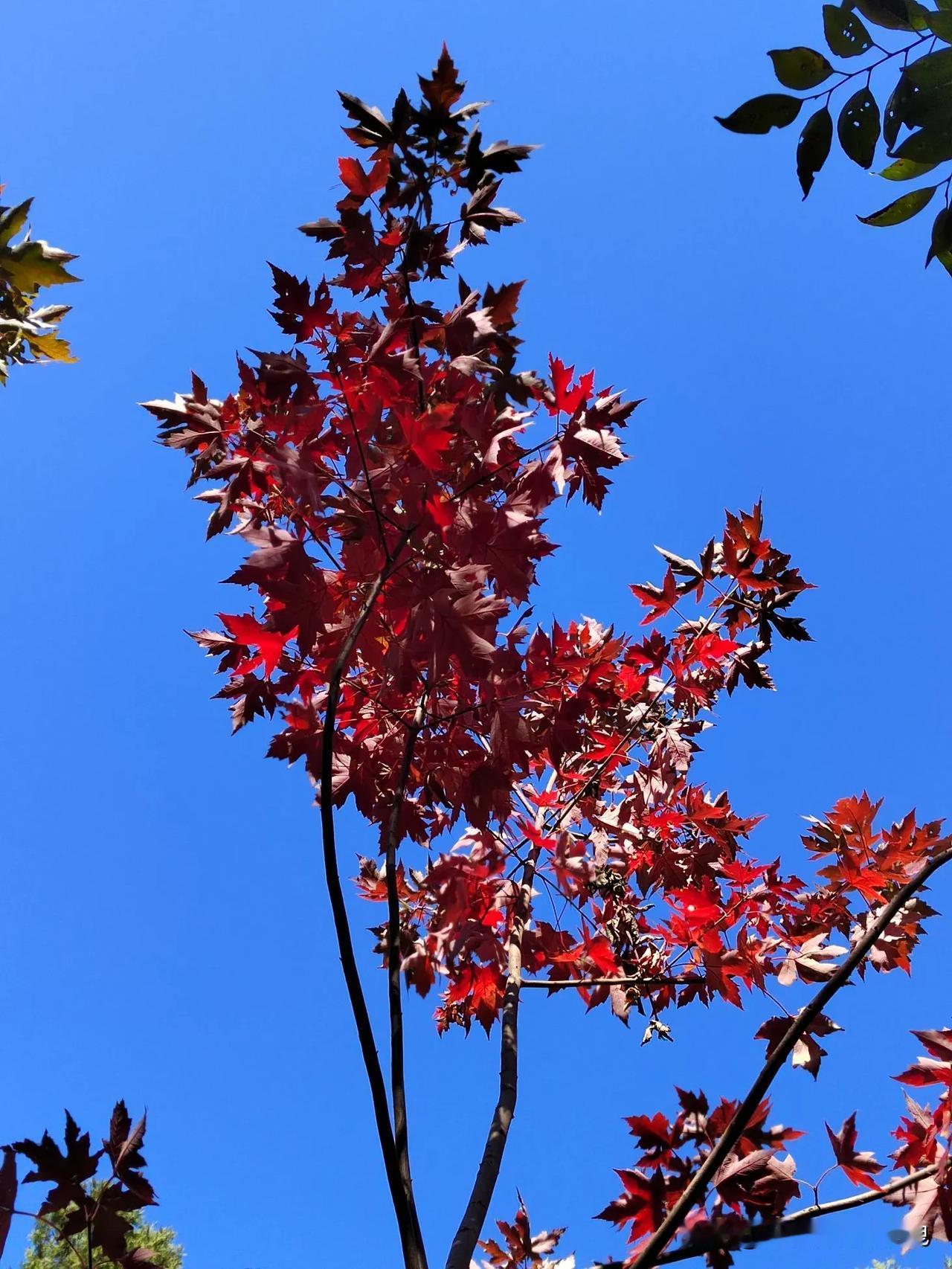 春日生活打卡季是否能中大奖[呲牙]