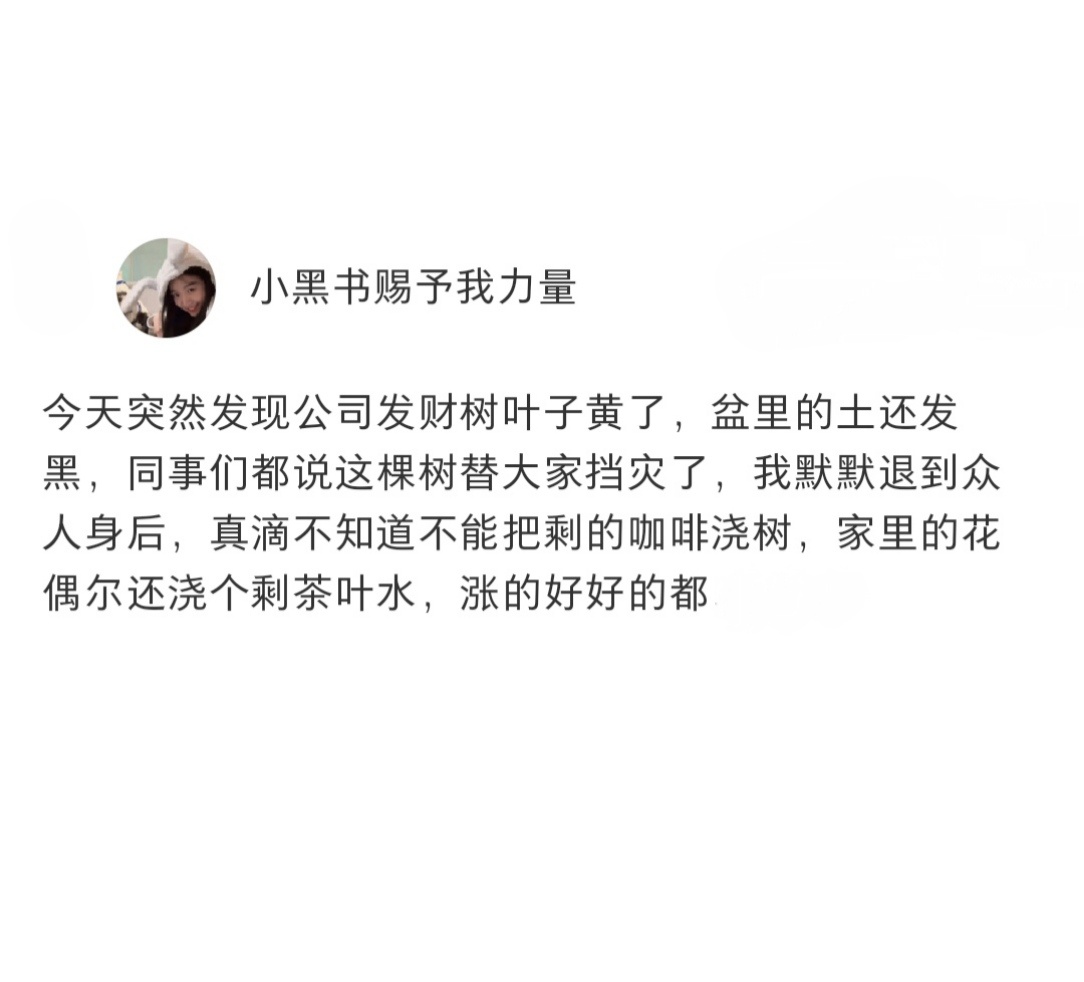 一直用咖啡浇公司的发财树，这下公司都发不了财了[允悲] ​​​