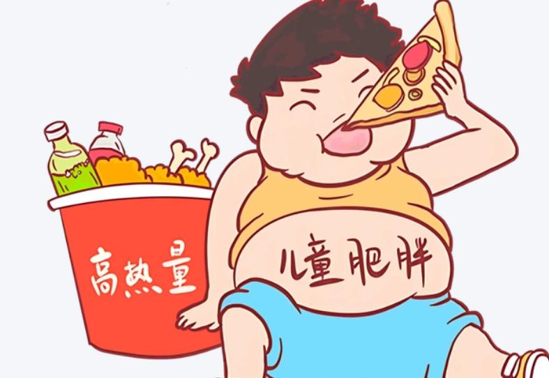 为何儿童肥胖率持续上升？除了饮食，这3个生活习惯家长要改

在儿科门诊，我发现这