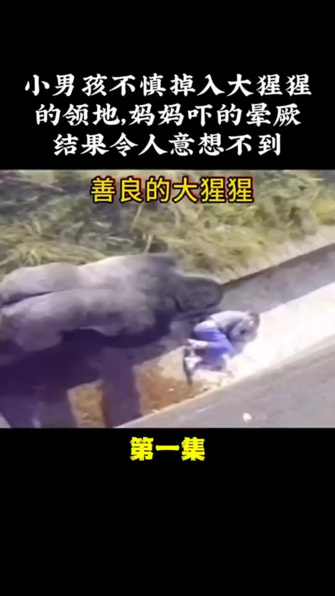 我的观影报告 野生动物零距离 动物世界 人与动物和谐共处