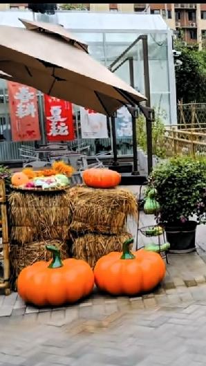 农家小院秋意浓浓，南瓜与稻草的完美搭配，营造出温馨的秋日氛围。🍂🎃