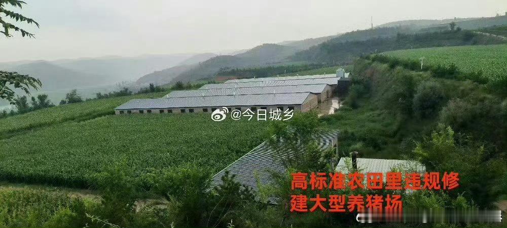 榆林市榆阳区鱼河峁镇关注一下: 高标准农田是耕地中的“精华”，是保障我们口粮安全