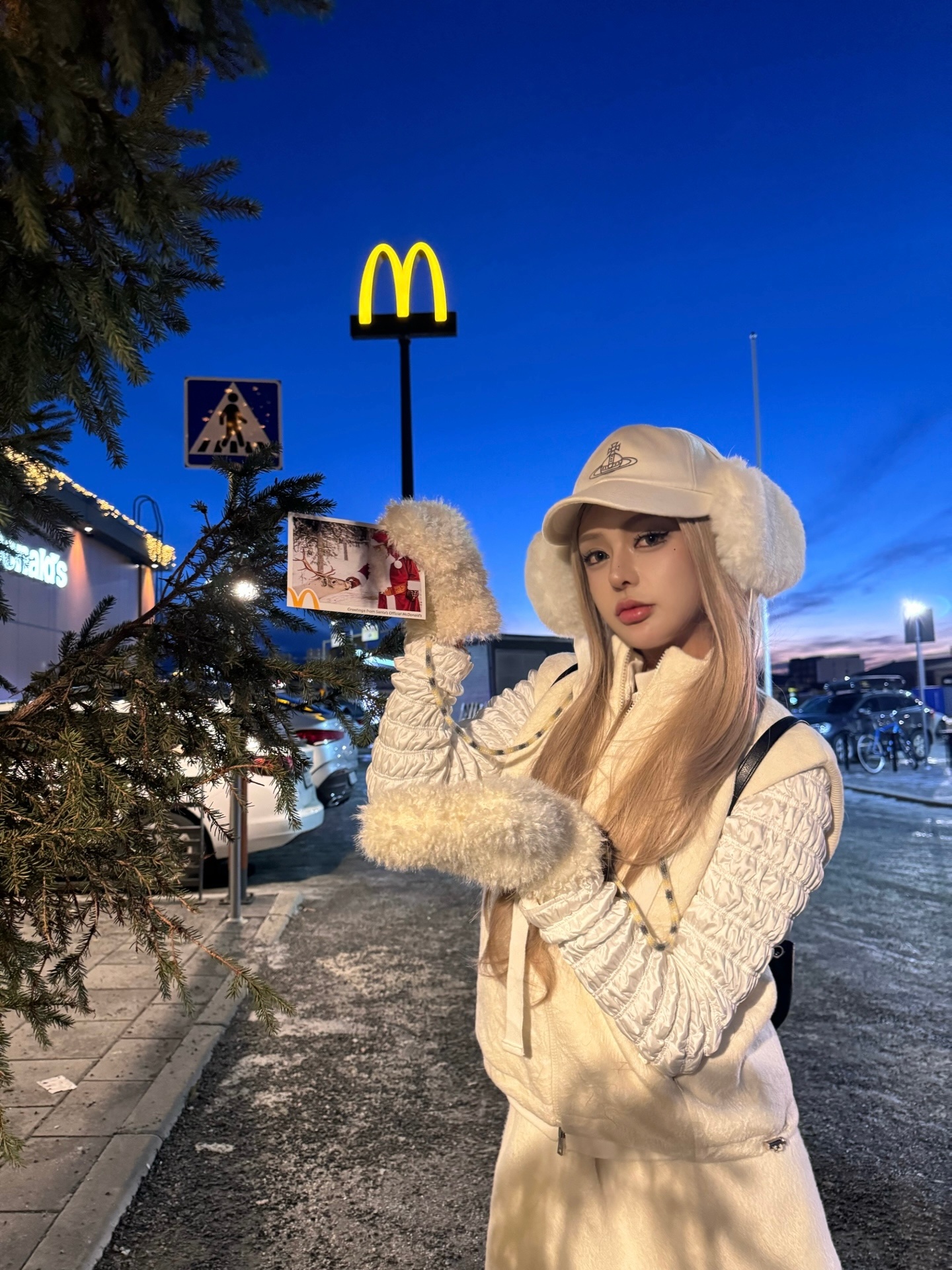 芬兰🇫🇮北回归线打卡  