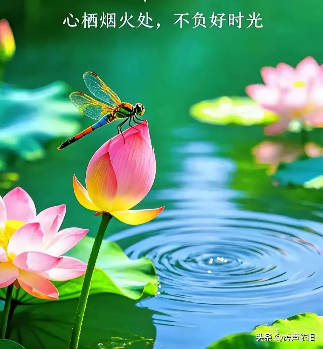 《浣溪沙·缘聚心间》

人海相逢结善缘，
天涯虽远意相连。
恍如知己在跟前。
