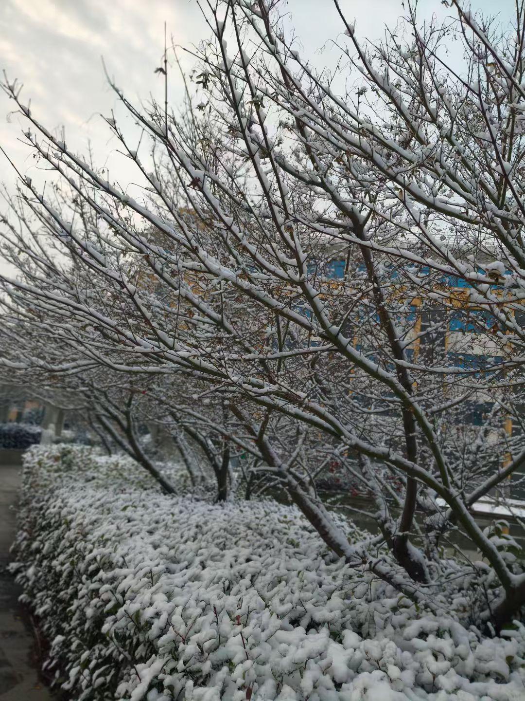 晒出今天随手拍的美图