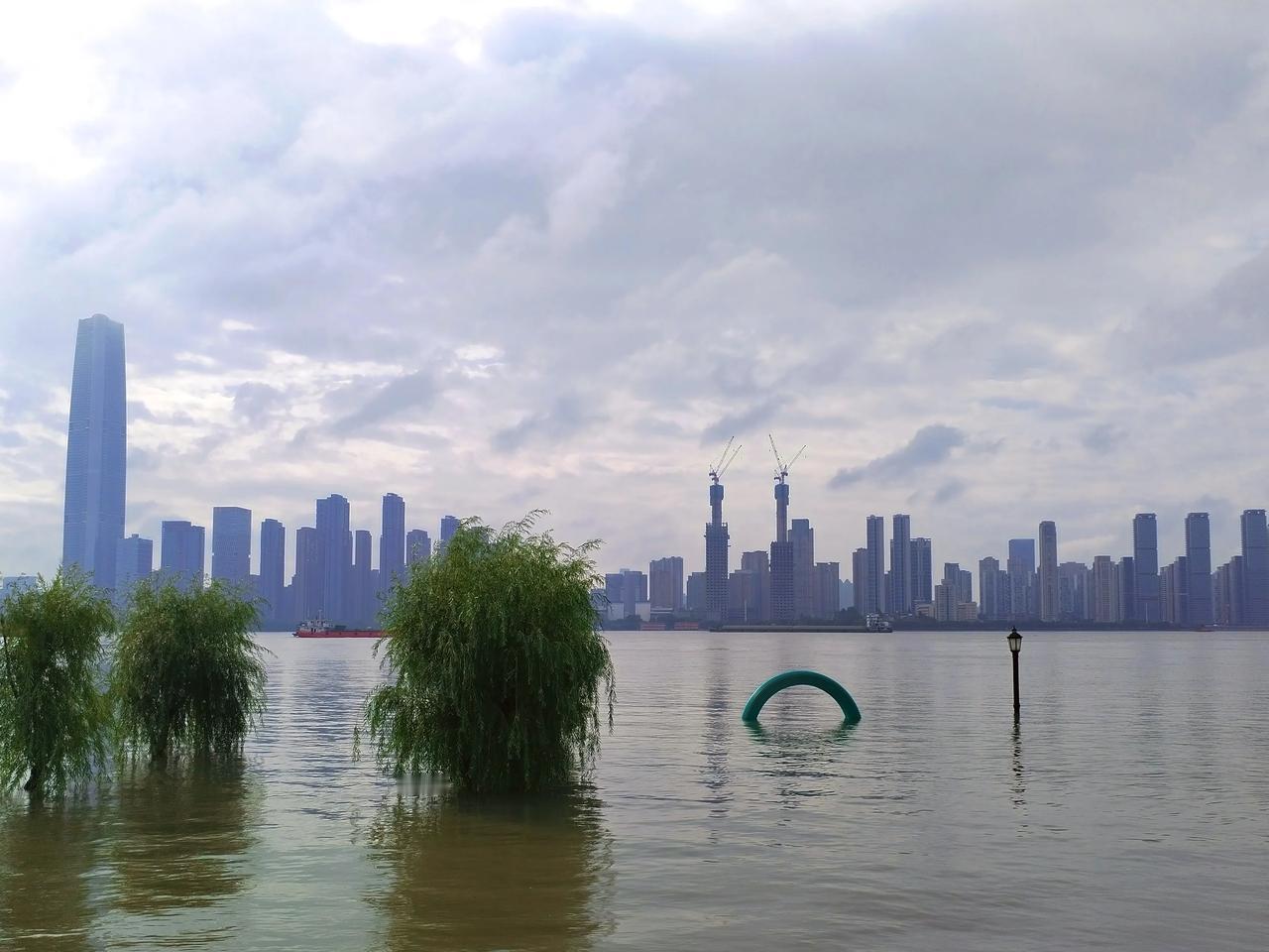 昨天两个大人还在，今早再看，都被团灭了！#江水涨的好大呀# #涨水有点猛啊# #