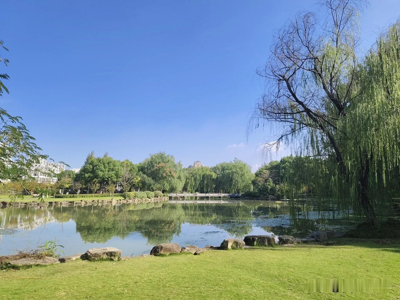 [赞]全社会关心老年人，西安的做法深得人心❤️
社会的快速发展，老年人日益增多，
